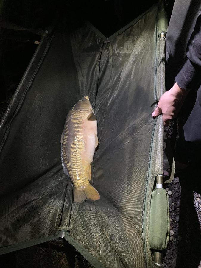 Lakeside Fishing